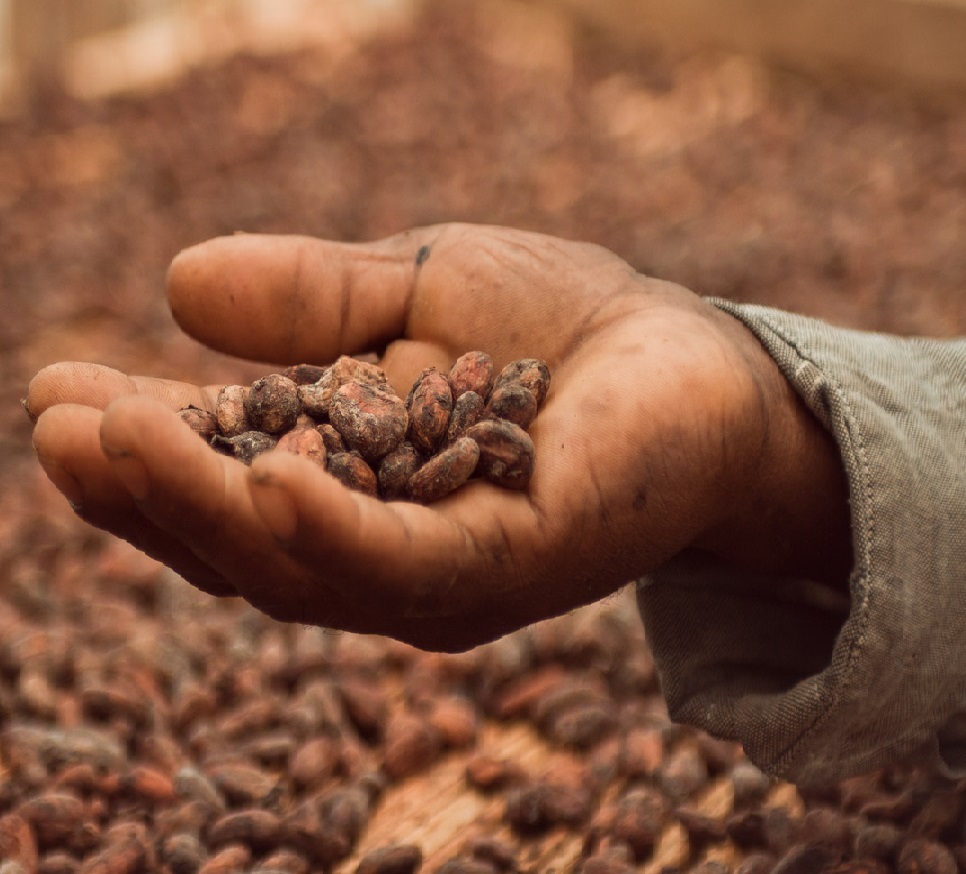 More information on Ethical Sourcing